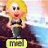 nielmeil.jpg